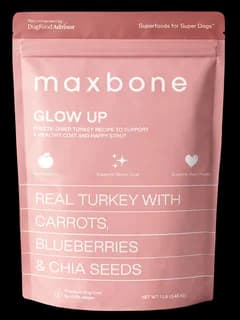 Glow Up Turkey bag