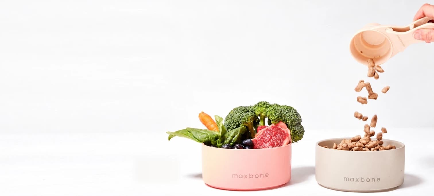 Freeze-dried food pouring from a scoop into a maxbone bowl, beside a bowl of fresh ingredients